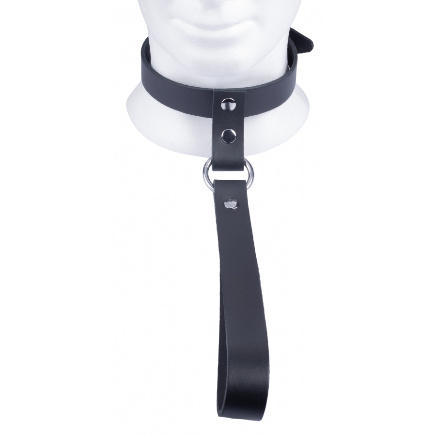 The Red Leather Collar with Short Leash The Red Leather Collar with Short Leash