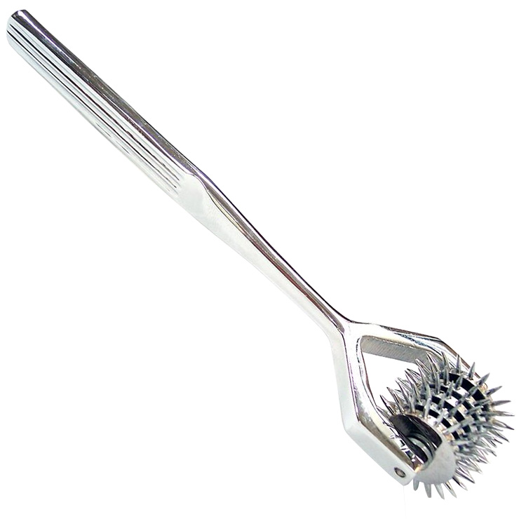 Rouge Stainless Steel 5 Wheel Pin Wheel Rouge Stainless Steel 5 Wheel Pin Wheel