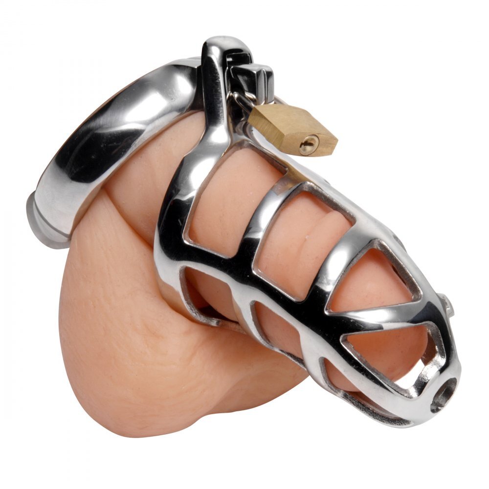 Master Series Chastity Cock Cage Master Series Chastity Cock Cage